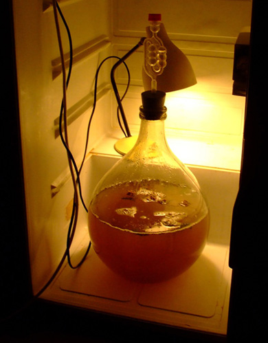 fermentbrussels_fermenting