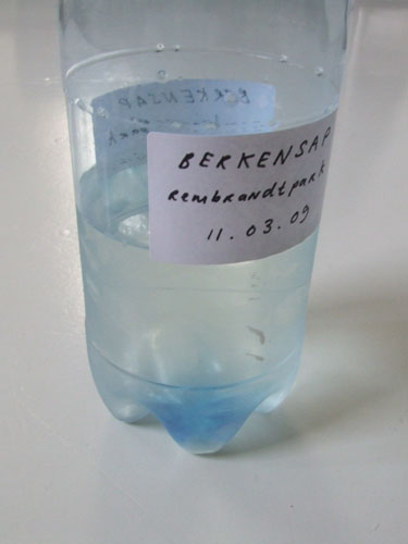 berkensap-rembrandtpark Birch sap sourced from a Rembrandtpark birch