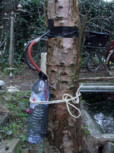 Birch sap tap Birch sap tap