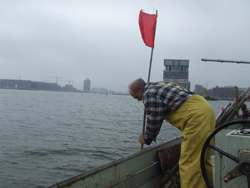 Piet pulls up one of the flag poles that marks his eel traps