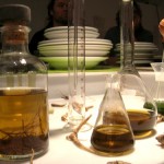 Tansy, mugwort and cole's wort extracts for the medicinal aperitif