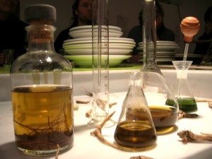 Tansy, mugwort and cole's wort extracts for the medicinal aperitif