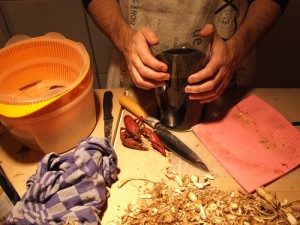 Matteo preparing artemisia infusum
