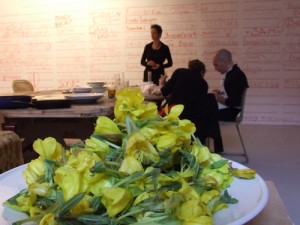 Preparing the Evening Primrose flowers