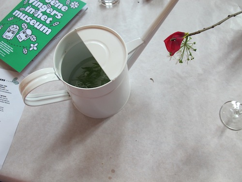 Heilige Maag_lieve vrouw bedstro limonade_W Maas copy