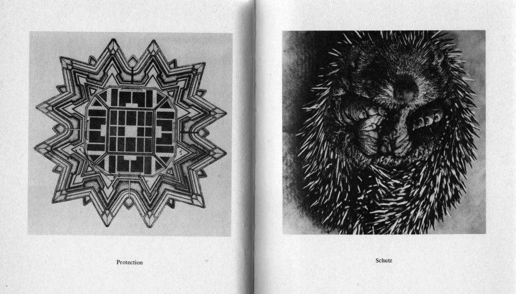 Protection_Schutz_City Metaphors